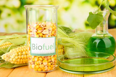 Fern biofuel availability