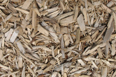 biomass boilers Fern