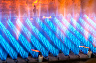 Fern gas fired boilers