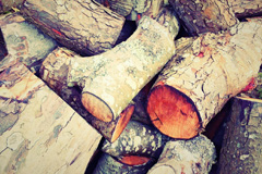 Fern wood burning boiler costs